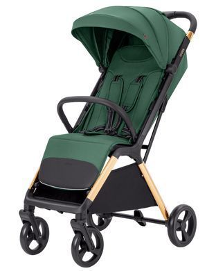 Прогулянковий візок Carrello Cross CRL-5523 Parrot Green CRL-5523-4 фото