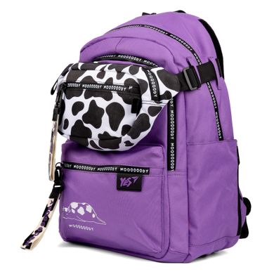 Рюкзак школьный и сумка на пояс YES TS-61-M Moody 559476 фото