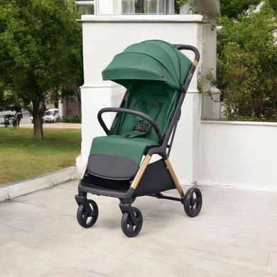 Прогулянковий візок Carrello Cross CRL-5523 Parrot Green CRL-5523-4 фото