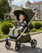 Прогулянкова коляска Carrello Bravo Lite CRL-5529 Flax Green 552912 фото