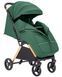 Прогулянковий візок Carrello Cross CRL-5523 Parrot Green CRL-5523-4 фото 4