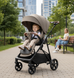 Прогулочная коляска с реверсивным блоком CARRELLO Costa CRL-5534 Feather Beige
