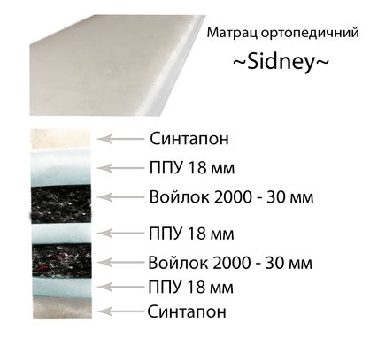 Недорогий безпружинний матрац Sidney 190х80 SID6 фото